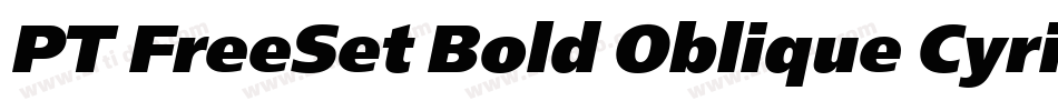 PT FreeSet Bold Oblique Cyrillic字体转换